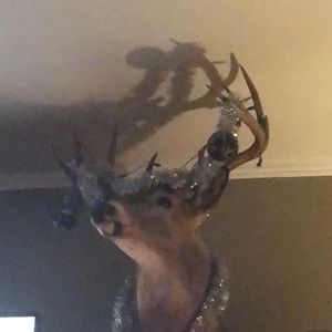 Meet your Posher, Del